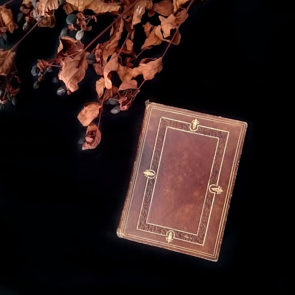 希少 1910年 フランス 貿易の資料 研究書 古書 アンティーク