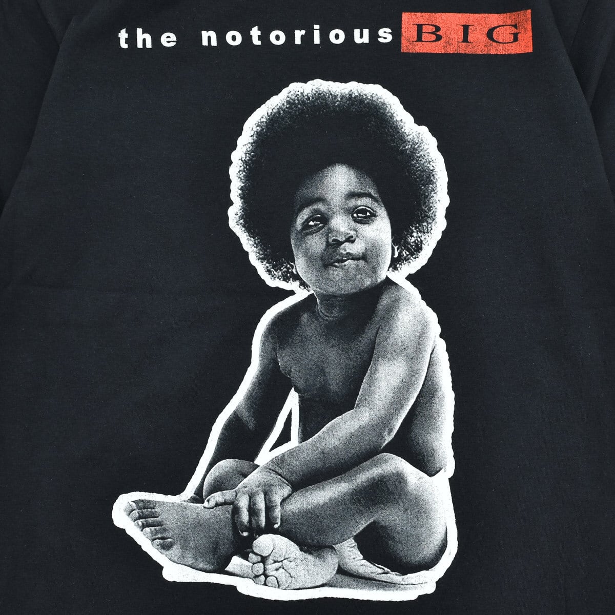 Brooklyn Mint The notorious BIG Ready To Die baay print T-shirt