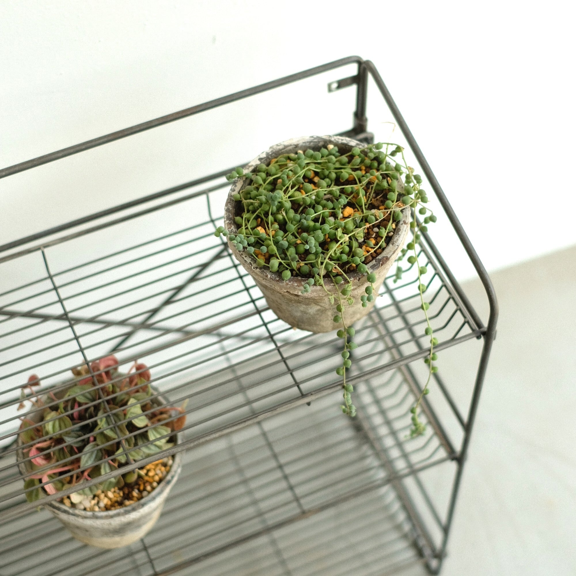 HABANA Folding Shelf（LL) | WEST VILLAGE TOKYO