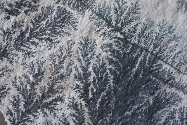 コンゴ産デンドライト・クリソコラ Dendrite / Chrysocolla ③