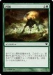 MTG《月霧/Moonmist(ISD) 日本語※プレイ用