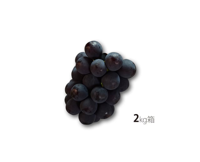 ピオーネとオーロラブラックのセット　食べ比べると味が違うんですセット　2kg箱　9月初旬より順次発送