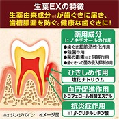 生葉EX(しょうようEX) 歯槽膿漏を防ぐ 薬用ハミガキ ハーブミント味 100g 【医薬部外品】
