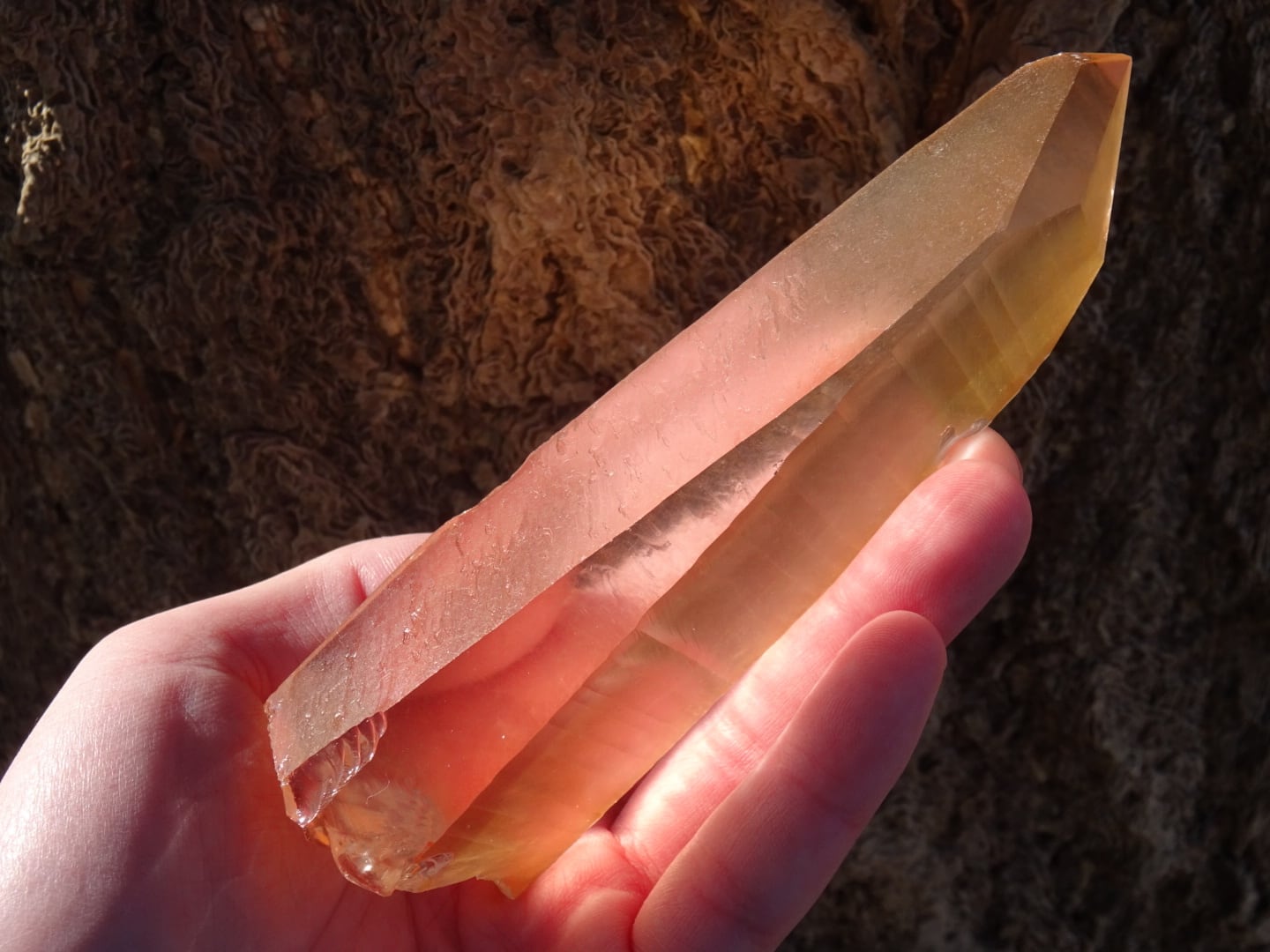 レムリアンシード「グレートサン」~ Temple of the Lemurian Sun