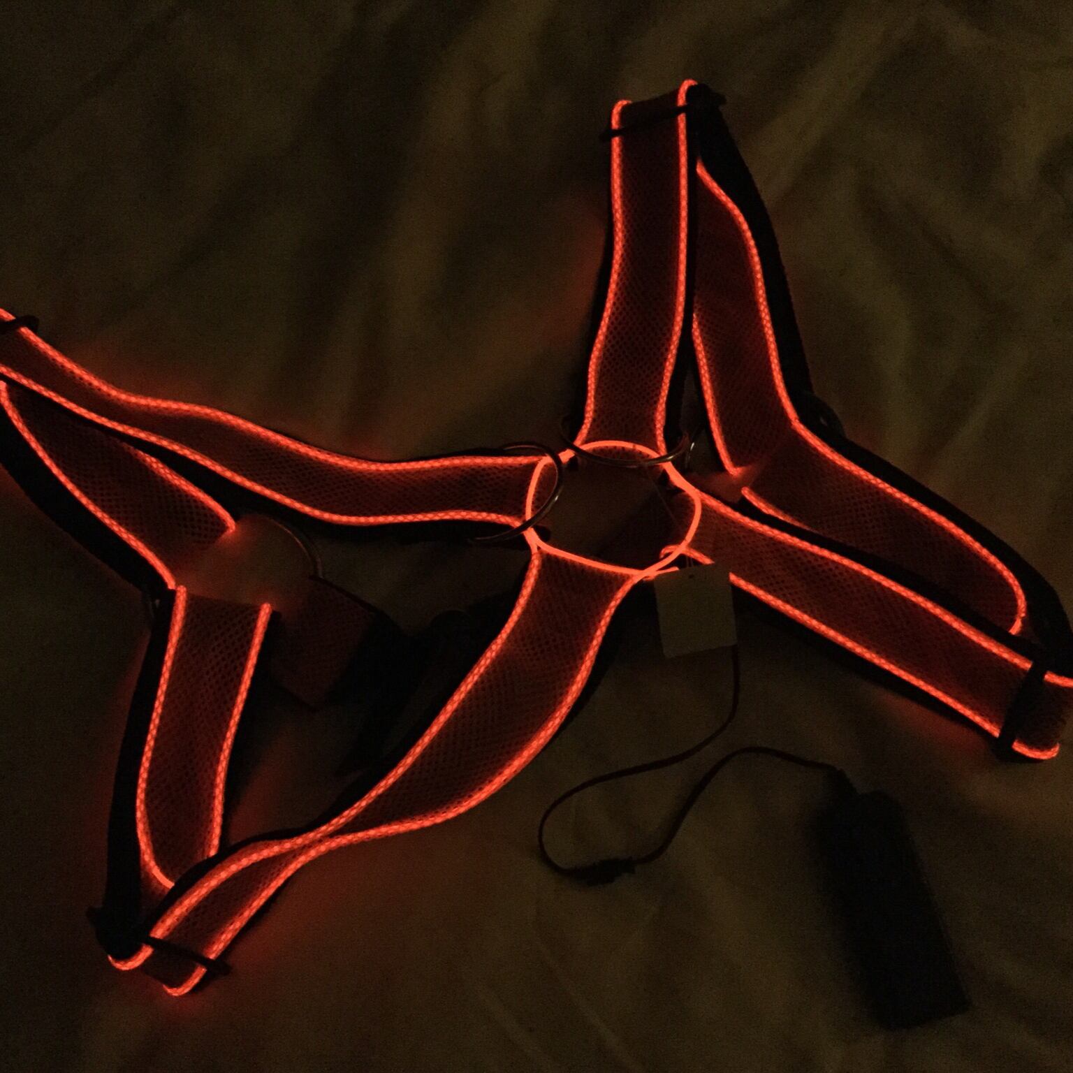 <光る>胸ハーネス 蛍光オレンジ 50mm幅