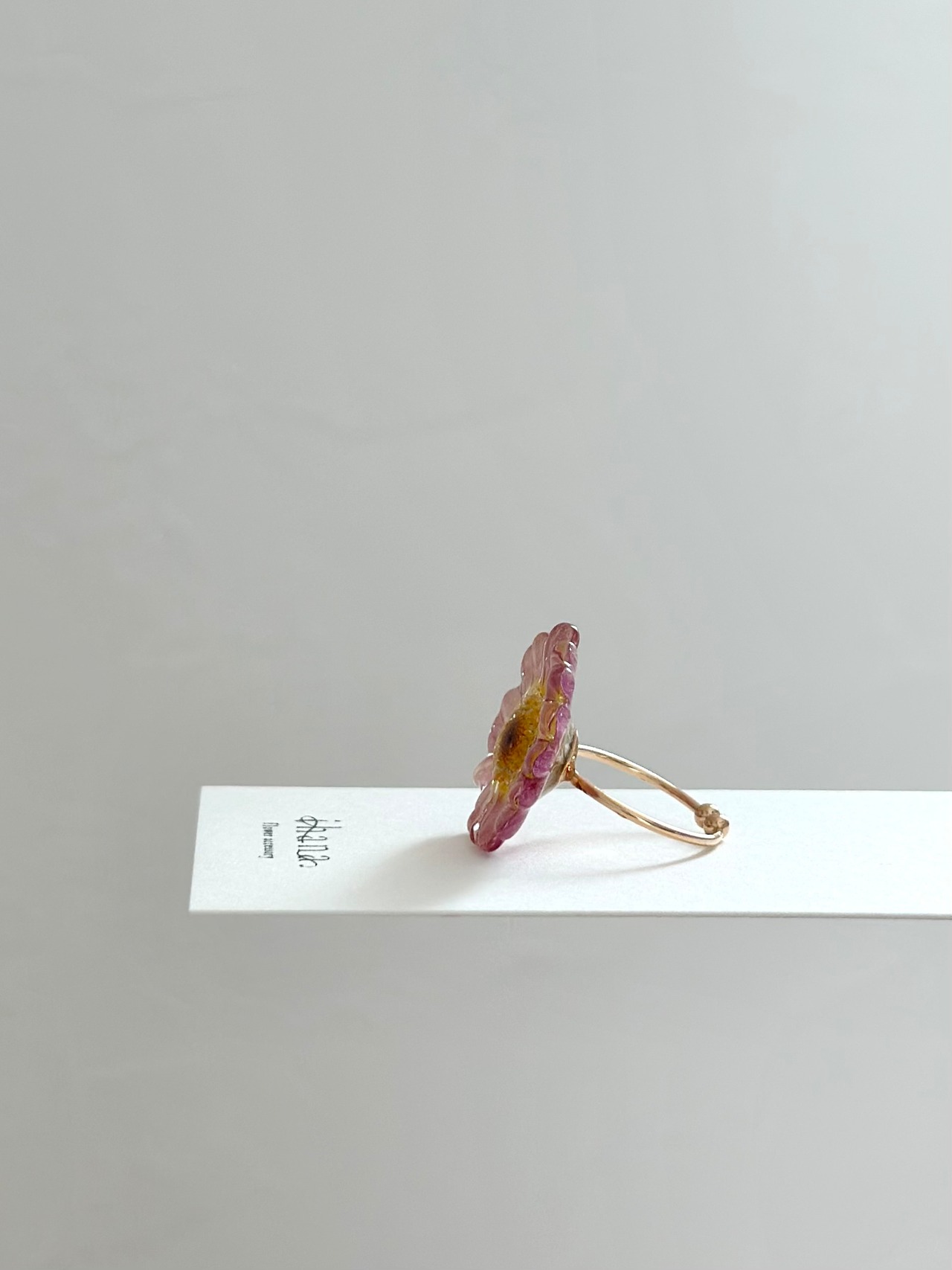 real flower ring「marguerite pink lemonade ② 」【1点限定】