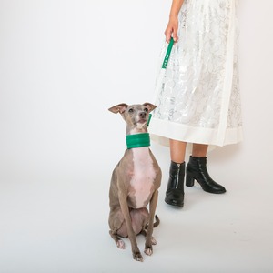 Pippinoハーフチョーク　green / イタグレ服
