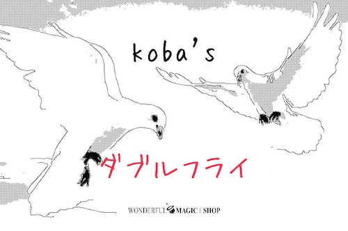 koba'sダブルフライ　盲点を突いた完全新規のギミックが織りなす奇跡‼