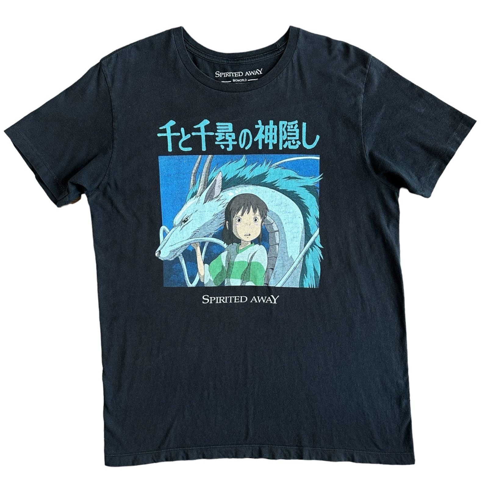 銀杏BOYZ“「世界ツアー 2005」printed Tee | PAY ID