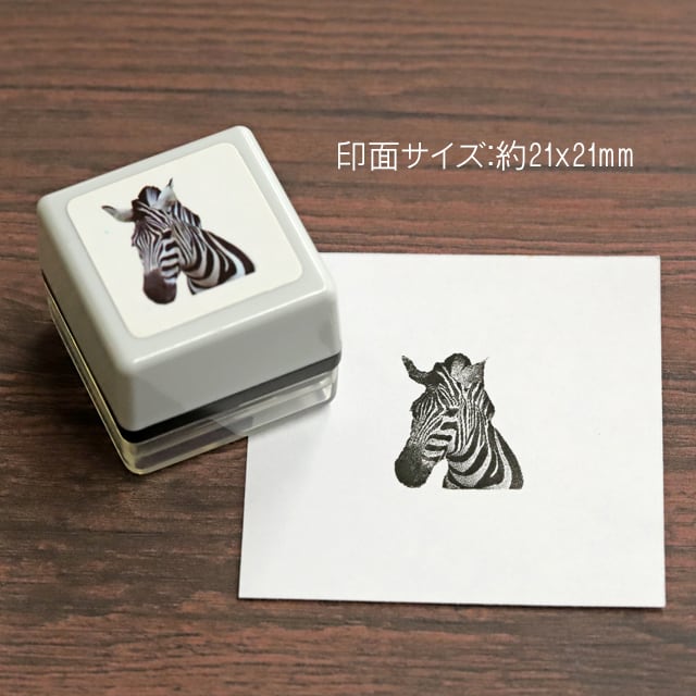 無限泡影　プリズマ　プリシク　日版　STSP-JP010 スタンプ　汎用 状態A】無限泡影 プリズマ プリシク スタンプエディション 遊戯王 日版