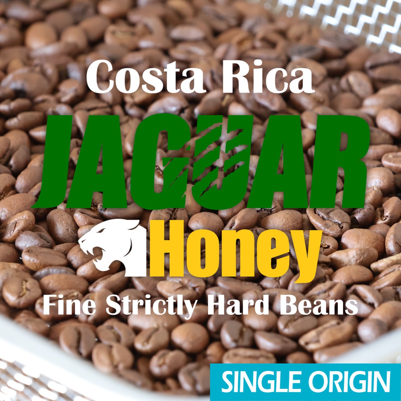 コスタリカ / ジャガー ハニー F-SHB(100g)