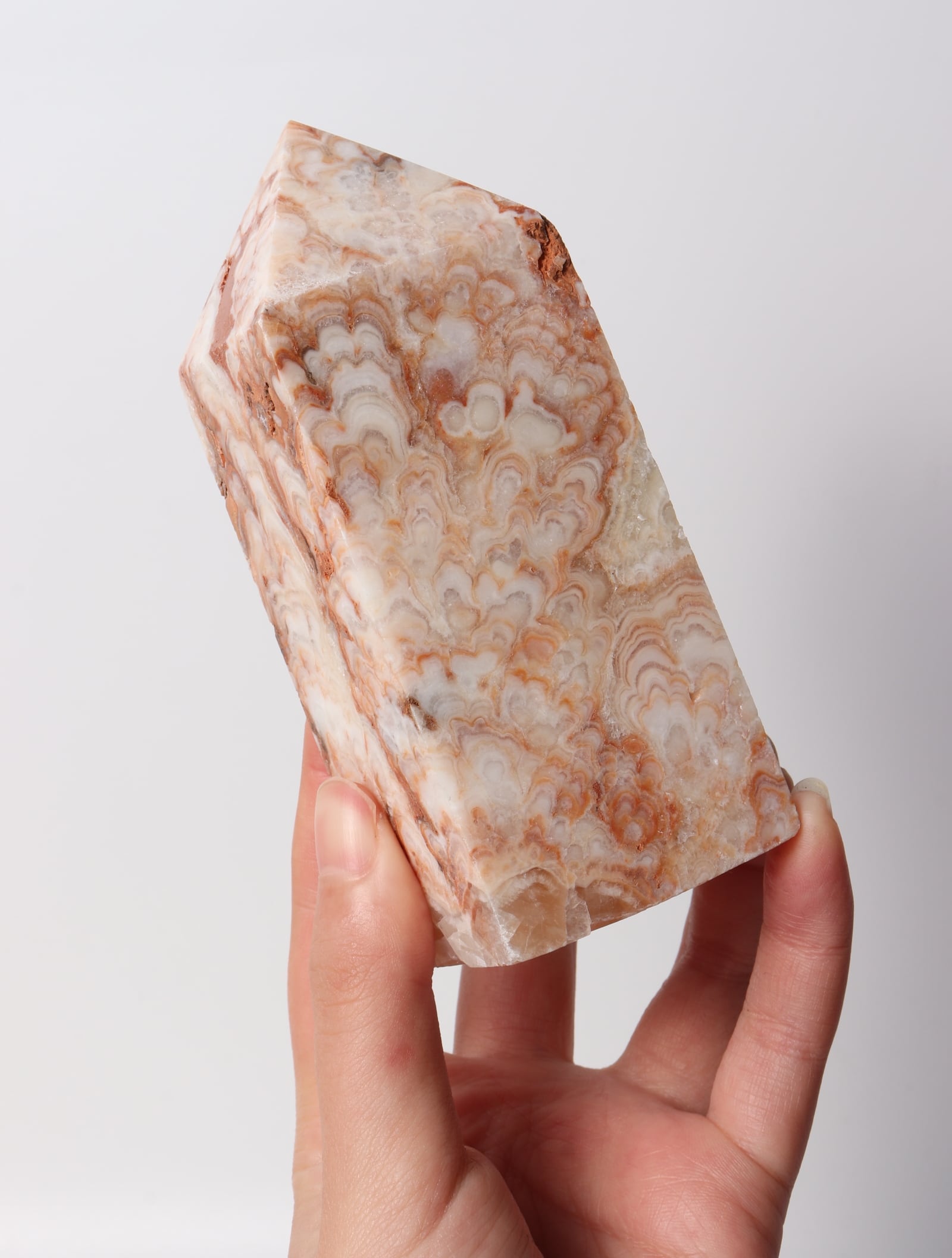 チョコレートカルサイト CHOCOLATE CALCITE TOWER | acenus