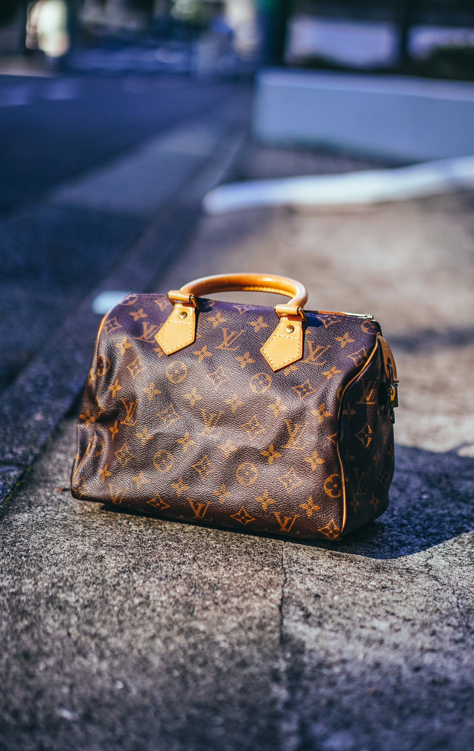 ルイヴィトンLOUIS VUITTON スピーディー30 