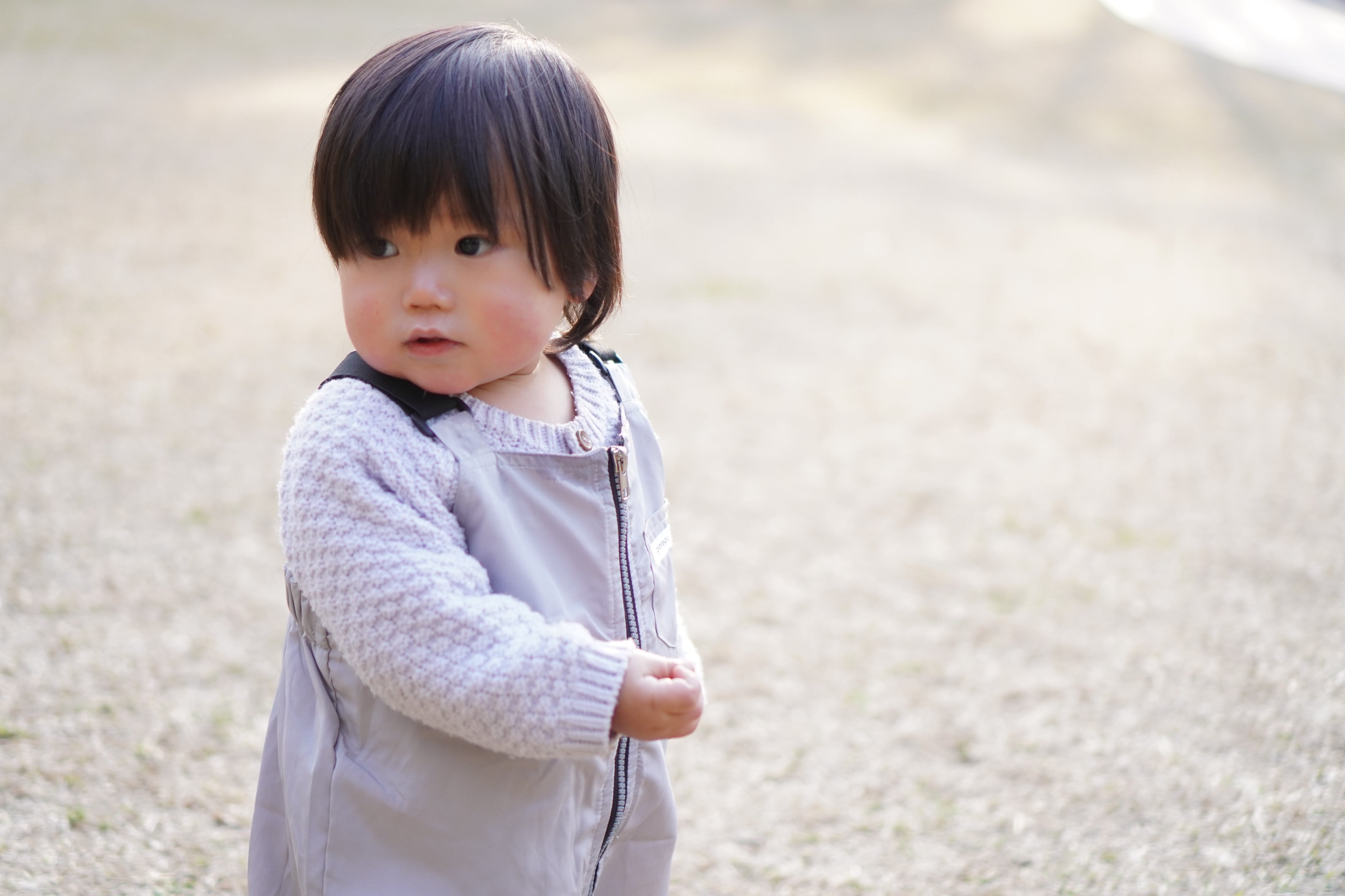 PLAYWEAR Overall ＆Purse (Color: Silver Ash) | poteco.