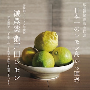 減農薬瀬戸田レモン2kg