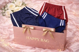 【放送事故リベンジ企画】昭和ブルマ3枚福袋｜あの頃のゆみみん特典つき【日本製】　フリージア