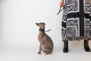 Pippinoショートリード　black / イタグレ服