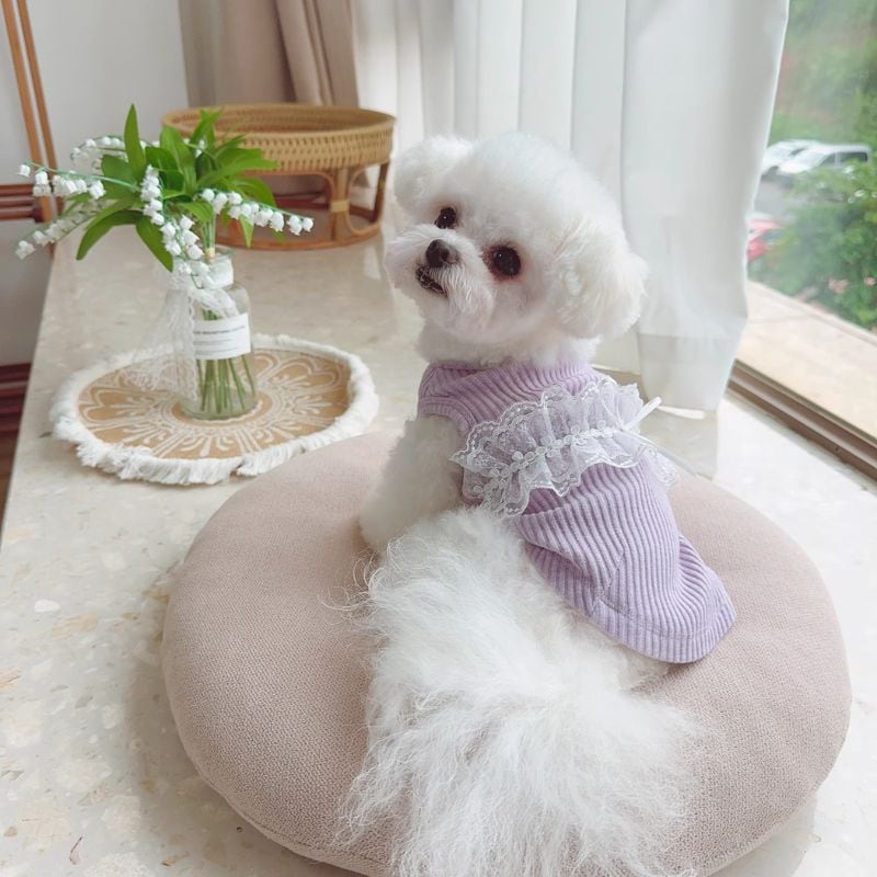 レース付カットソー 犬服 00385