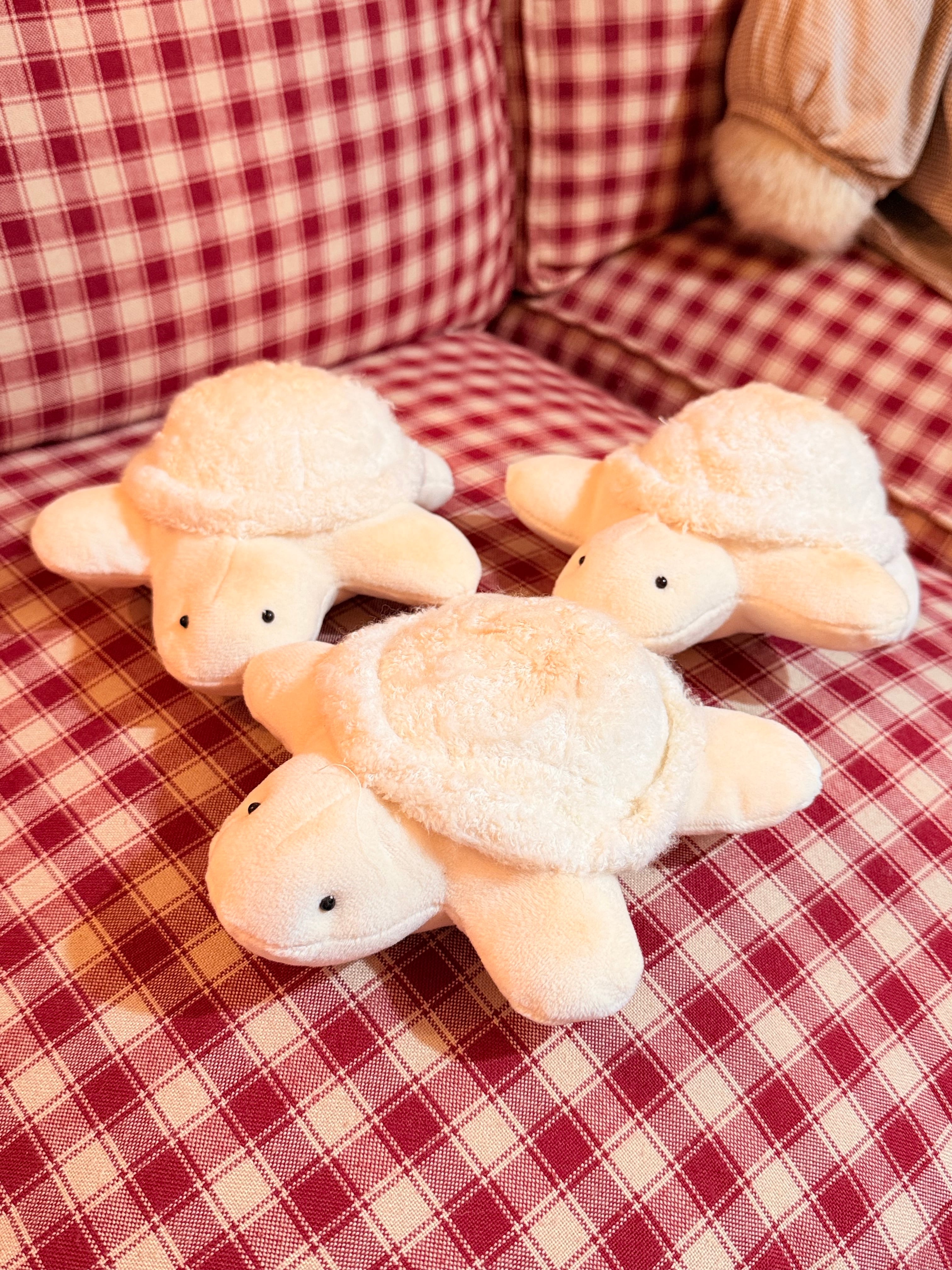 いちご運搬係 | てんてこマート天国店