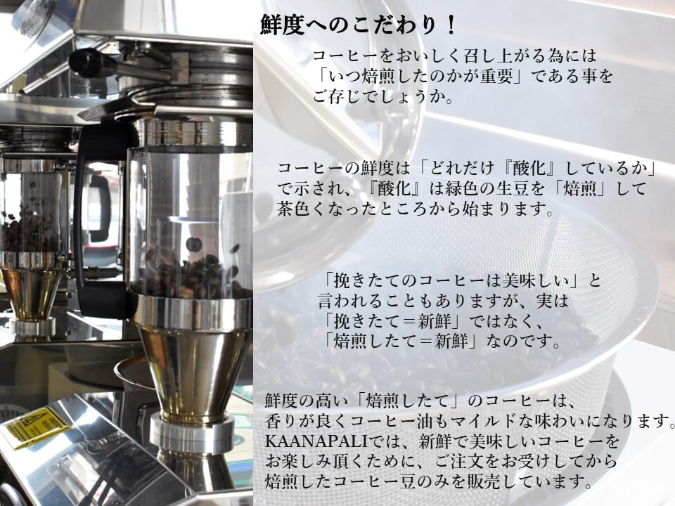 カメルーン レッドマンドリル カプラミ ジャバ ロング ベリー2021【シングルオリジン】