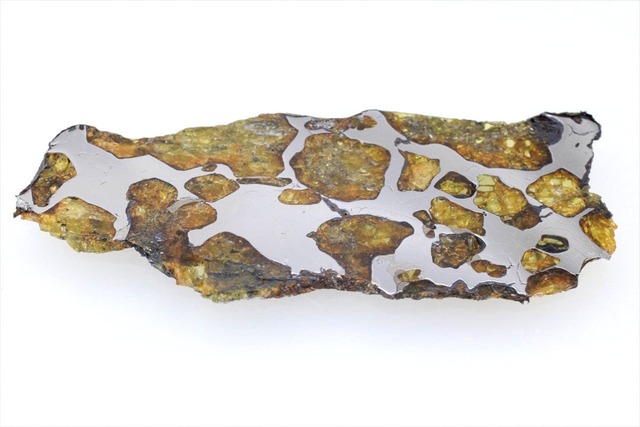 イミラック 8.0g スライス カット 標本 石鉄 隕石 パラサイト Imilac 4