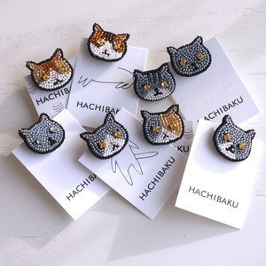 猫顔PINS_01