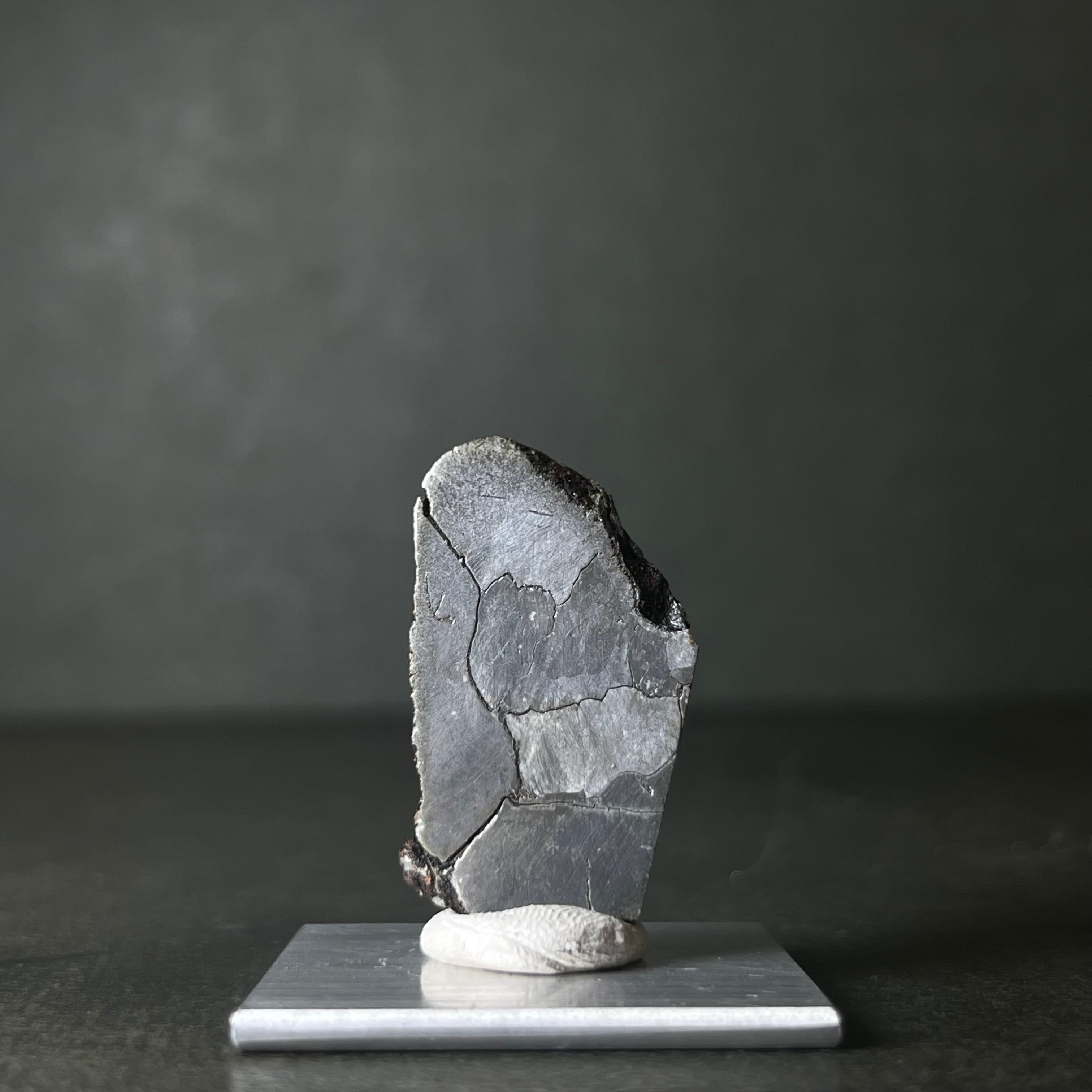 シホーテアリン隕石 Shikhote Alin Meteorite 26092905 | 【隕石屋