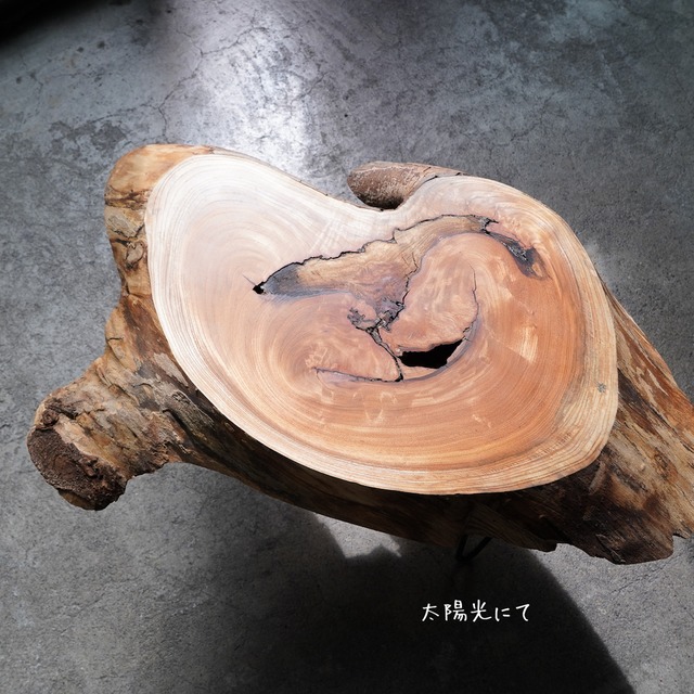 欅の輪切り コーヒーテーブル（高さ・カラー変更無料）