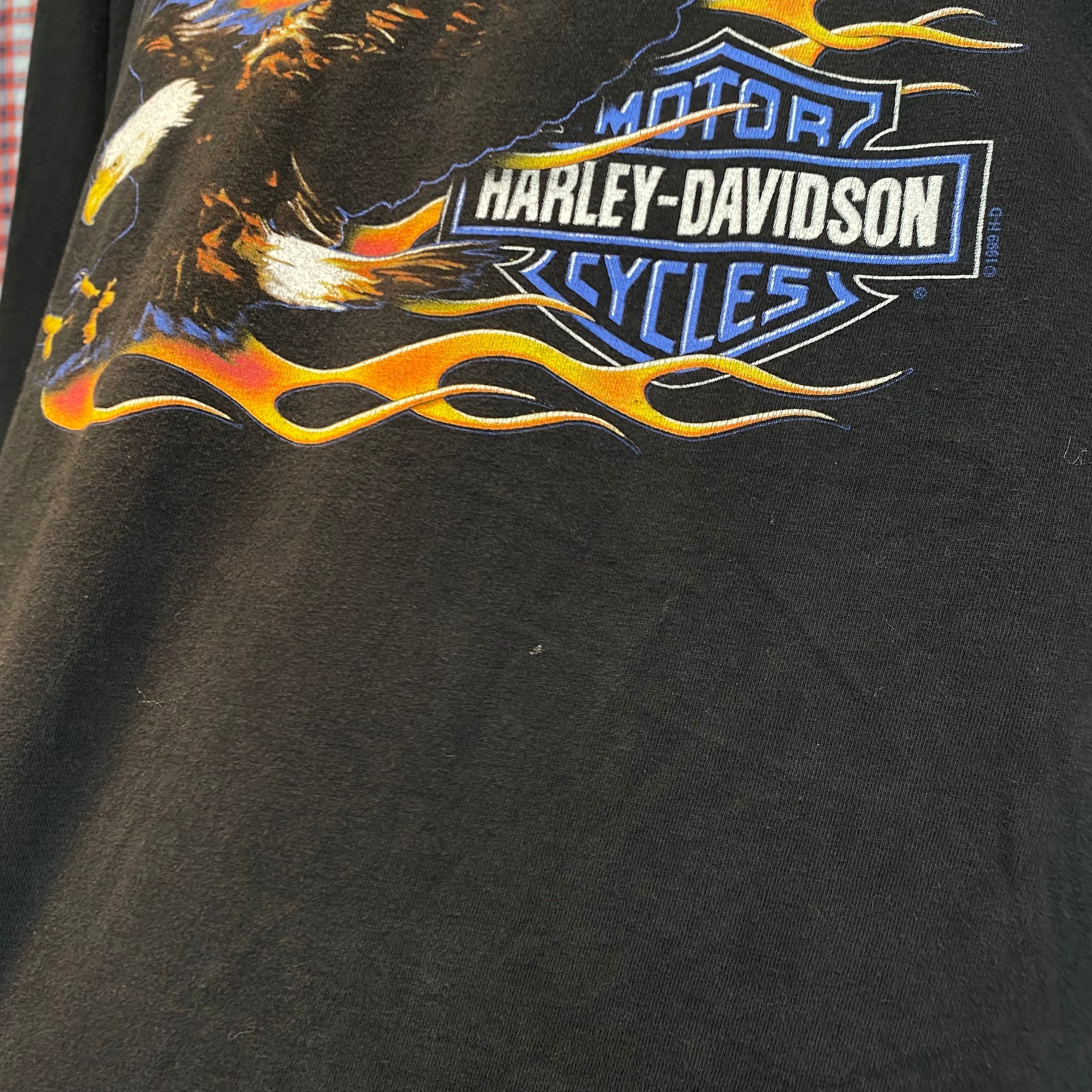 90s USA製 HARLEY DAVIDSON ロンT ハーレーダビットソン 激レア 90s ハーレーダビッドソン ファイヤーフレームロンT USA