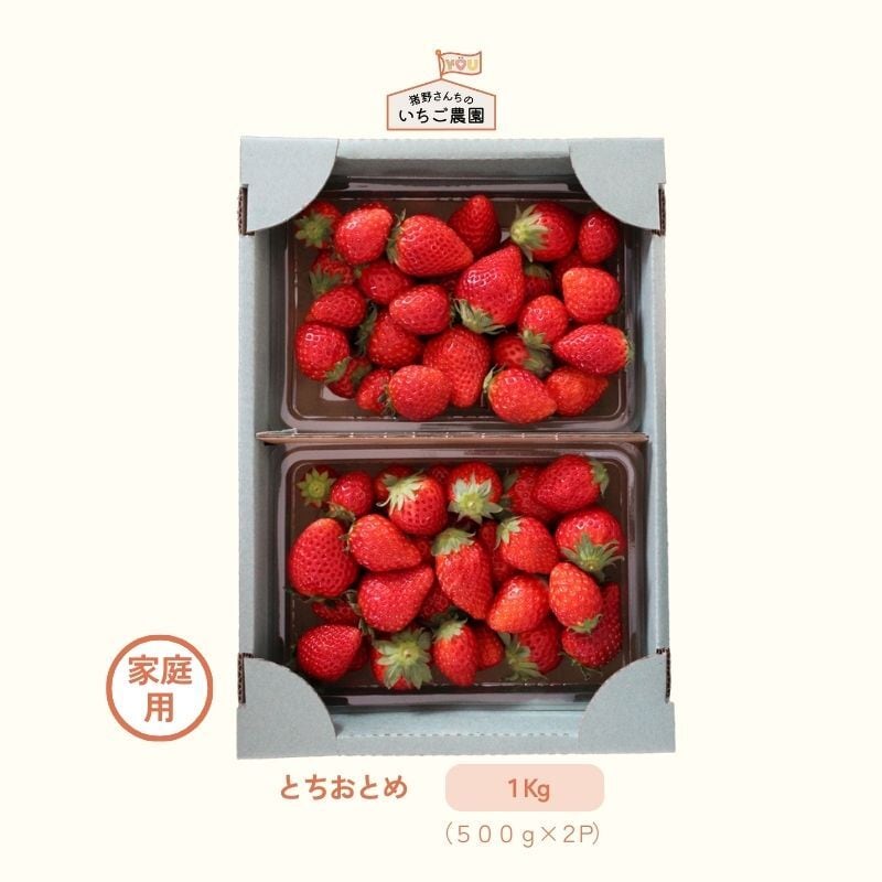 猪野さんちのいちご農園｜産直通販「あるよ」応援プロジェクト