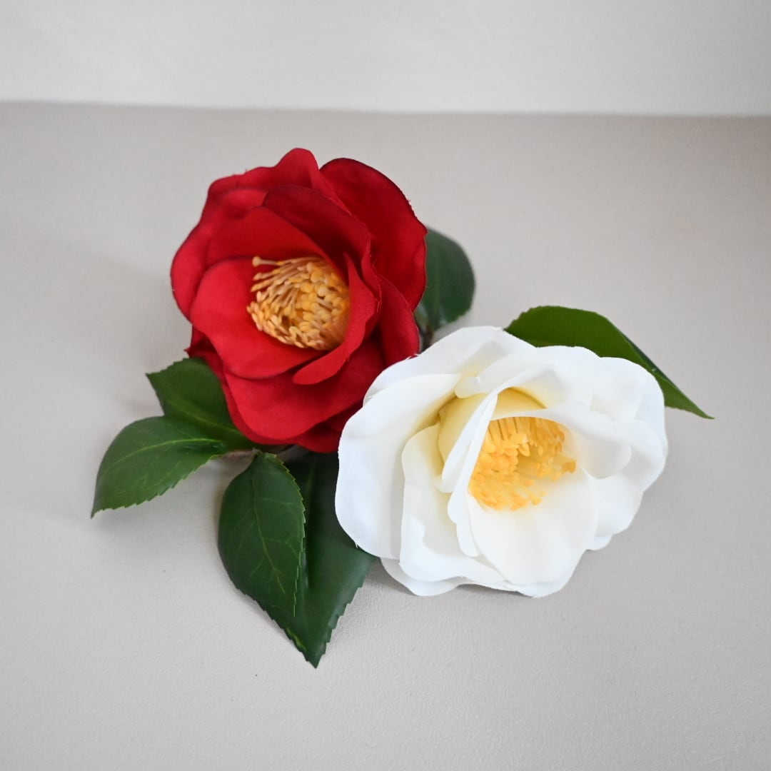 紅白椿 赤椿 赤い椿白い椿と落ちにけり 碧梧桐 森のかけら