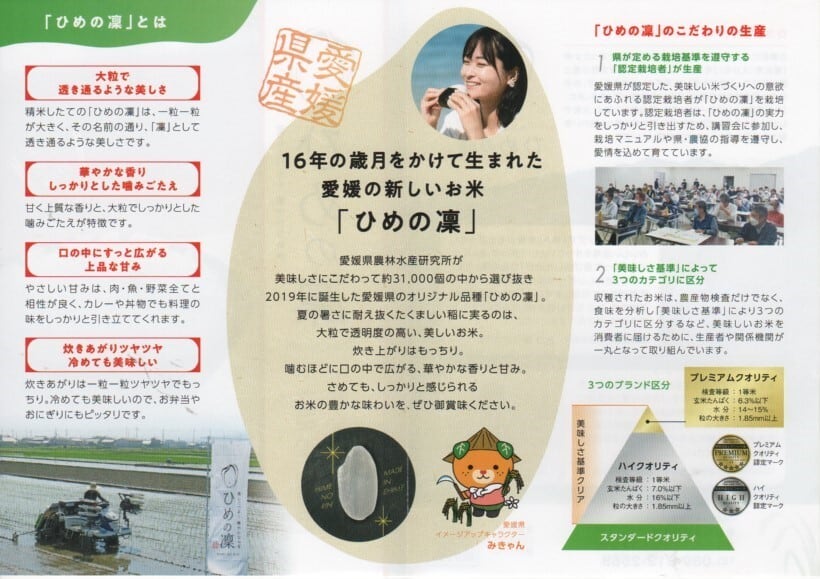 農薬化学肥料除草剤不使用 R7年度米愛媛県産ひめの凛稲架掛け米 20kg