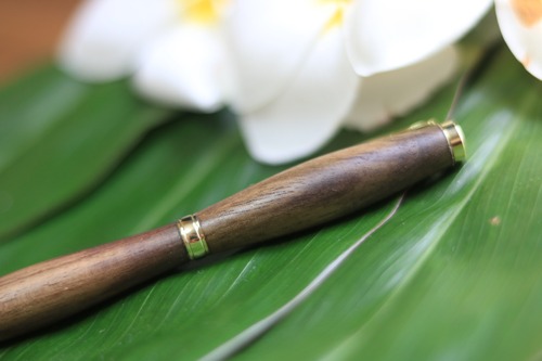 森のボールペン【稀少】テリハハマボウ