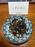 手摘、手揉紅茶　しずかおり(2024年産)