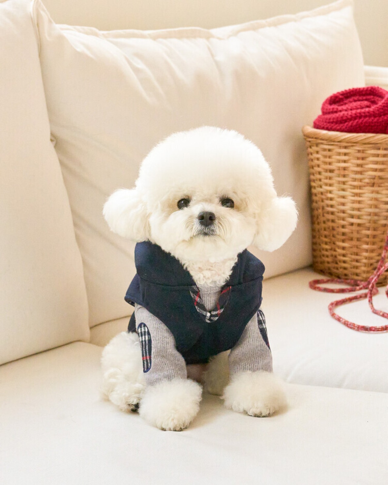 予約  【kiki&nini】Brownie Classic Check Poncho(ネイビー)+Classic Check Knit(グレー)set