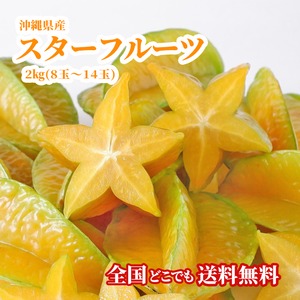 【送料無料・即発送可】沖縄県産スターフルーツ2kg（8〜14玉）星の形 無添加 沖縄 フルーツ ギフト 贈答品 内祝い お中元 お歳暮 熨斗 対応