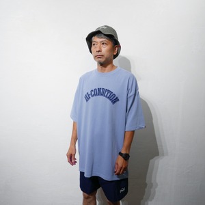 College arch logo huge silhouette Tee