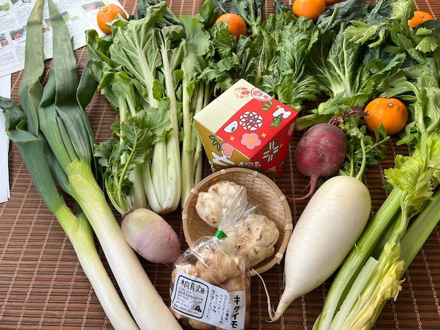 【完売御礼】ベジバルーンセット2月（如月）『寒さ耐えつつ春に向かい動めく野菜たち』を集めました！※セット写真は1月に出荷したベジバルーンです。