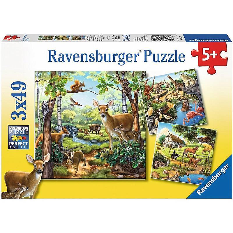 ラベンスバーガー(Ravensburger) ジグソーパズル 09621 3 恐