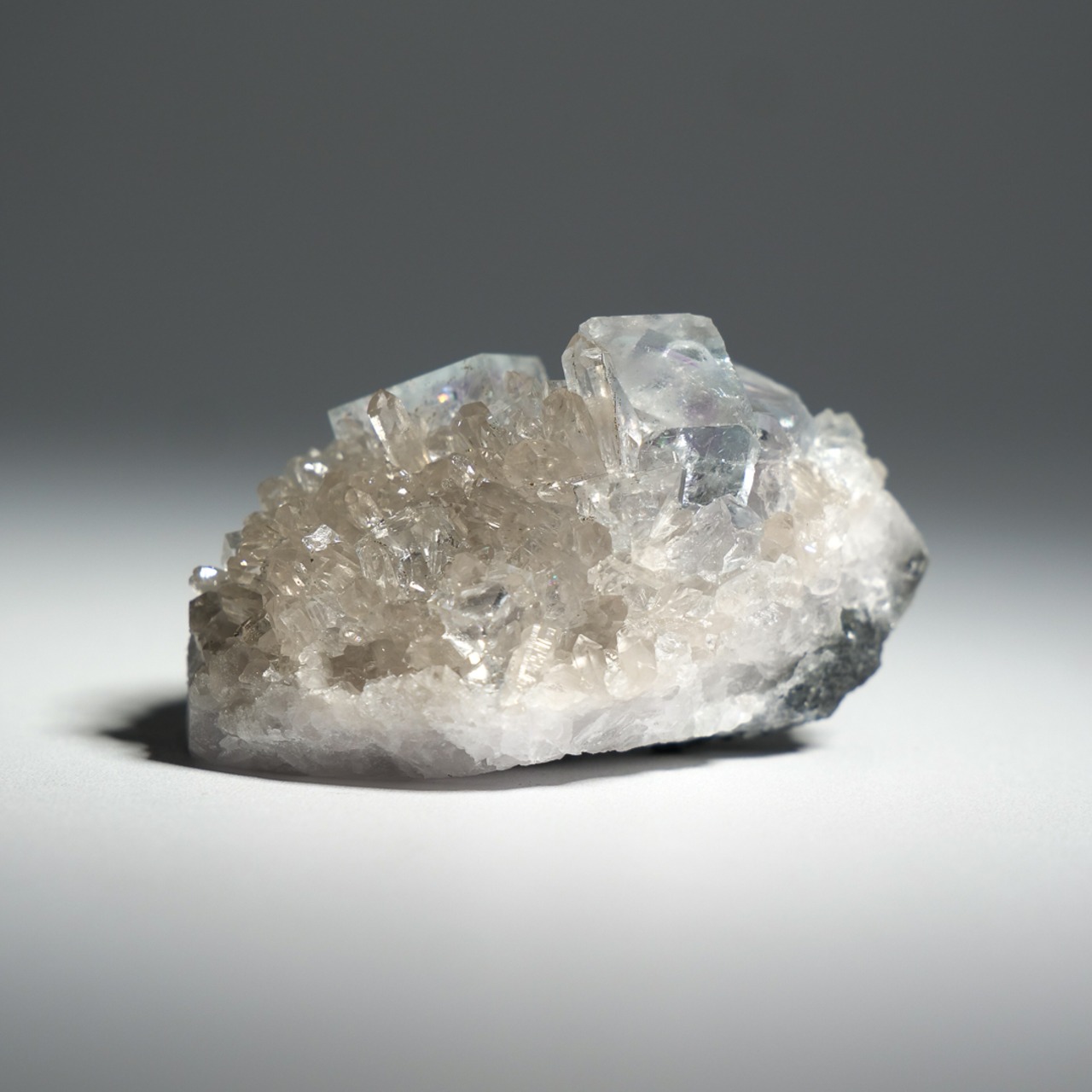 シャンファーリン産 フローライト スモーキークォーツ 共生 / 原石 標本【D_3】