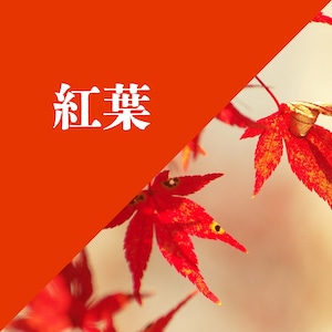 自然の風景から生まれた、MAKAMIの7色。