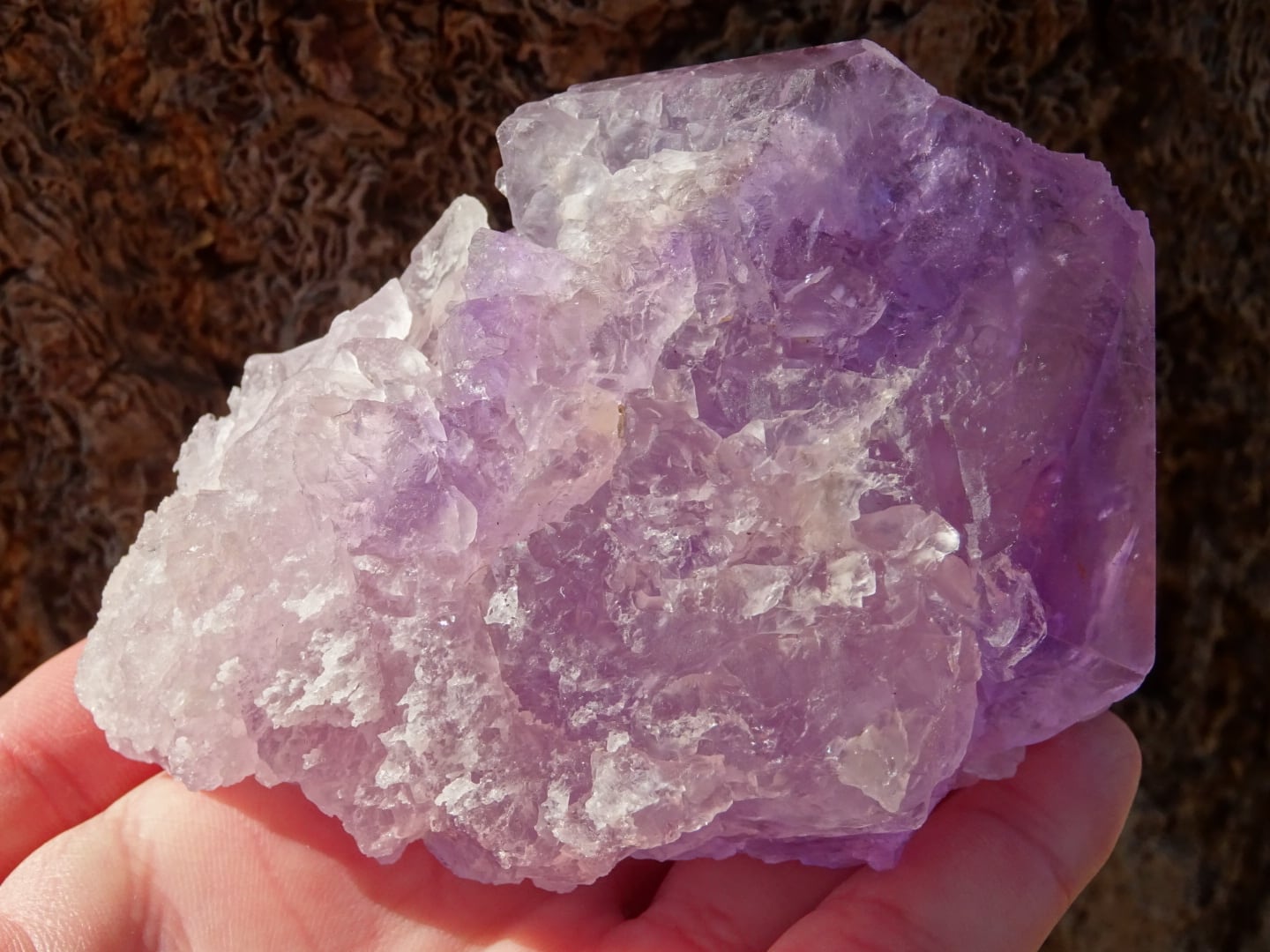 マスターペルナンブコアイスアメジスト(トライゴーニック&レコードキーパー&C面) ~氷の華の女神~