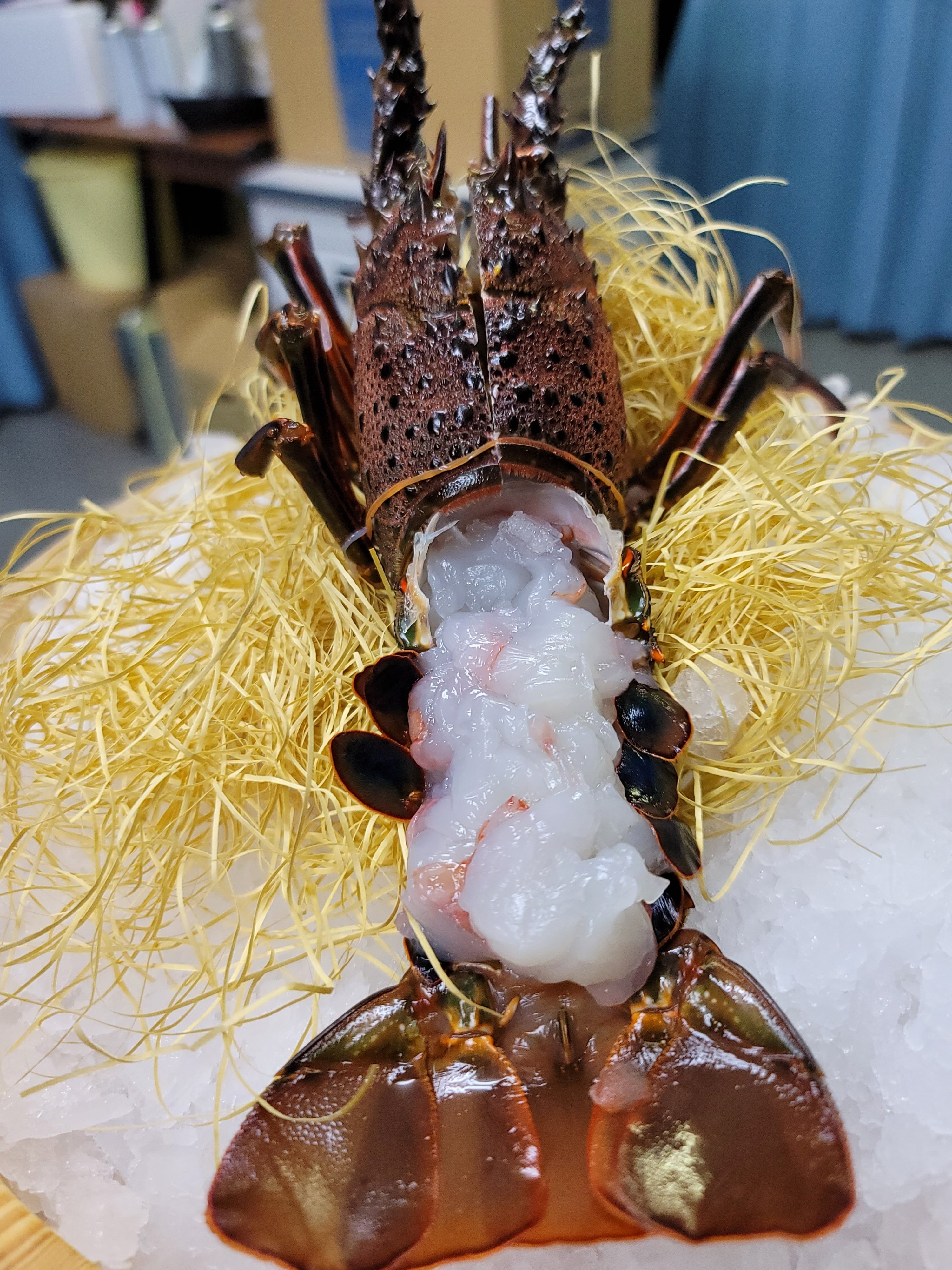 お刺身OK】三重県産伊勢海老 1尾入 ＜サイズ：約500～600グラム/尾