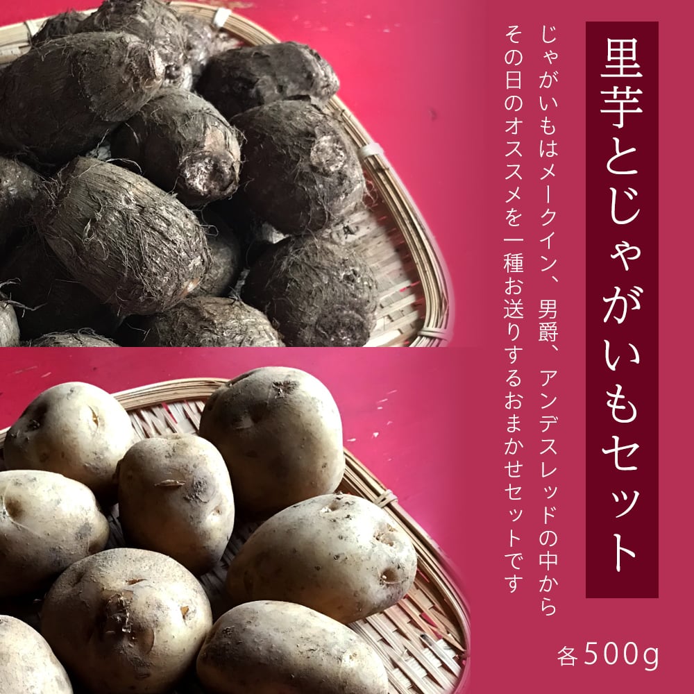 湘南野菜　旬のお芋セット　ー　里芋じゃがいもおまかせセット　各500g　農薬不使用ー　ーベジ八ー