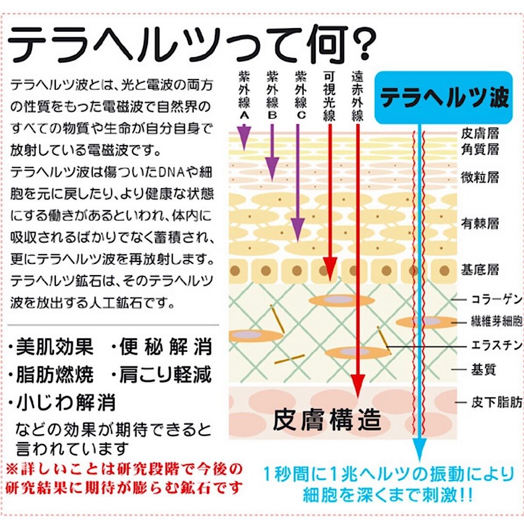 テラヘルツ（かっさ大）インテリア