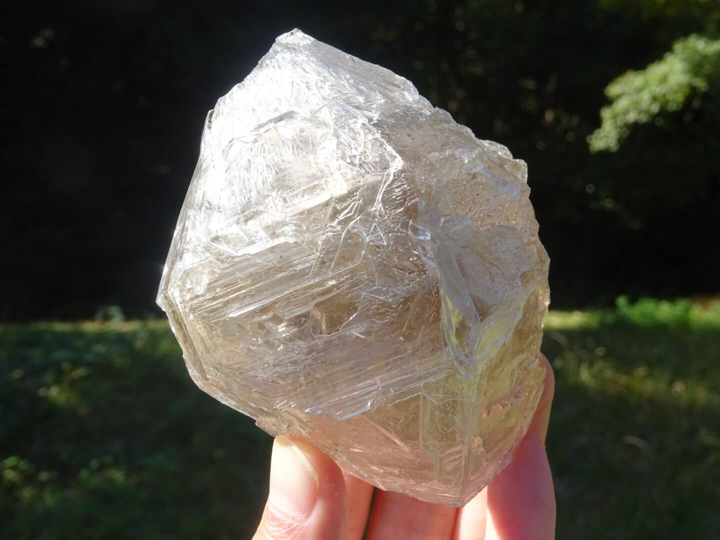 グレートホワイトスケルタル(ホワイトエレスチャルクォーツ)