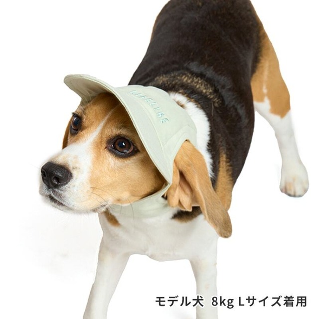 犬用帽子　ペット用帽子　ツイルロゴキャップ [サイズ: L]