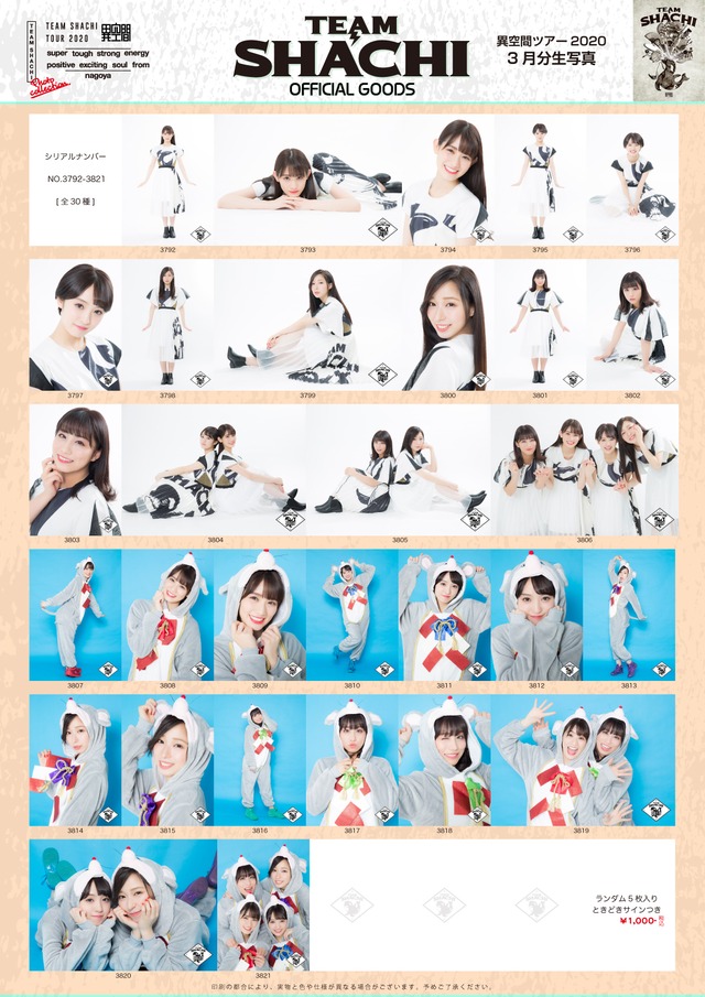 TEAM SHACHI 3月分生写真
