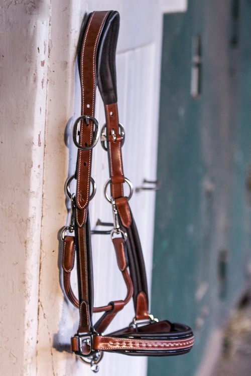 PENELOPE "Point Sellier" Leather halter ペネロペ 無口