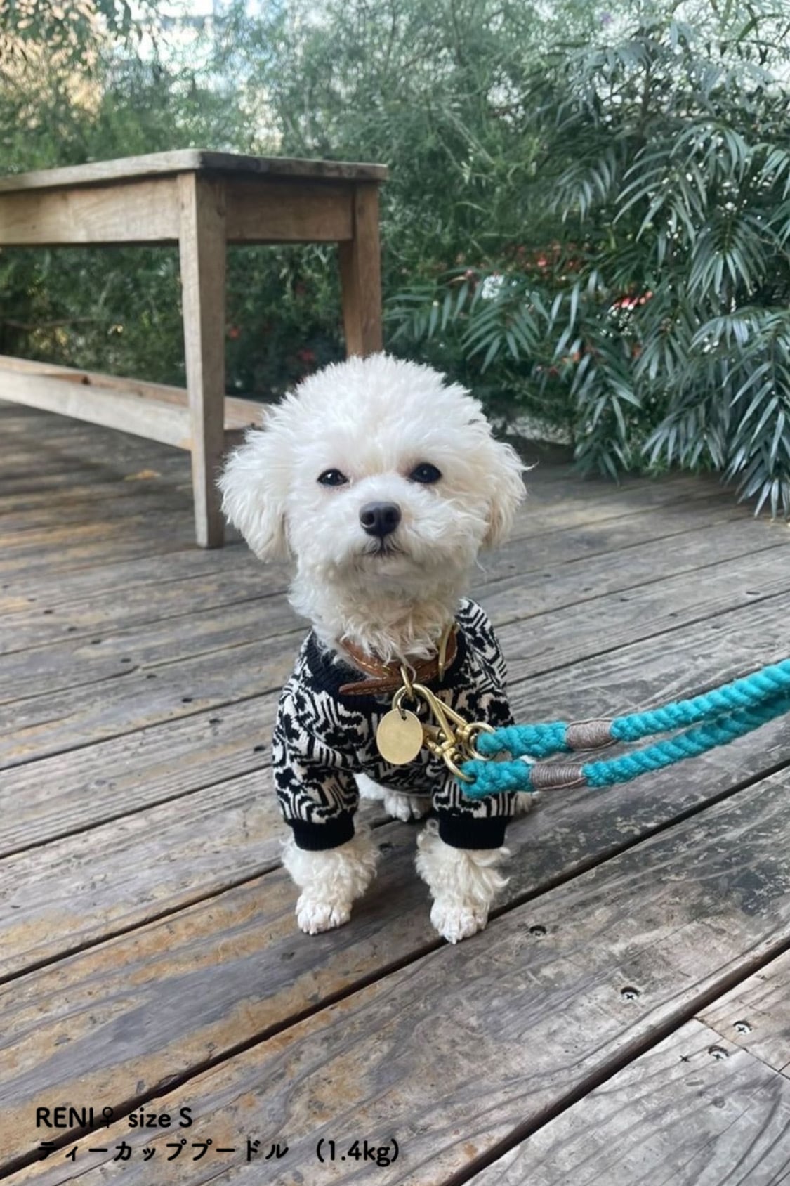 Dog Wear Jacquard knit | AMBERGLEAM